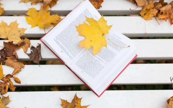  參考文獻究竟應該如何翻譯